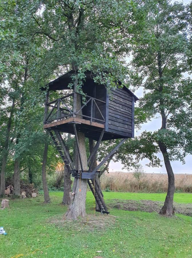 Kaimo Turizmo Sodyba Satavi Kinty Extérieur photo